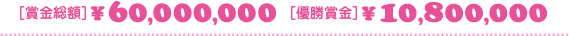 �܋����z&yen;60,000,000�^�D���܋�&yen;10,800,000