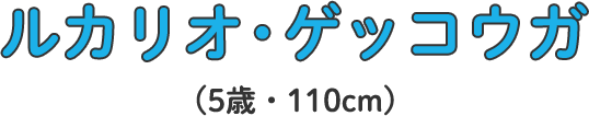 ルカリオ・ゲッコウガ (3歳・100cm)