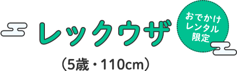 レックウザ(5歳・110cm)