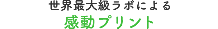 世界最大級ラボによる感動プリント