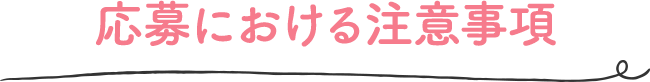 応募における注意事項