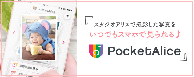PocketAlice