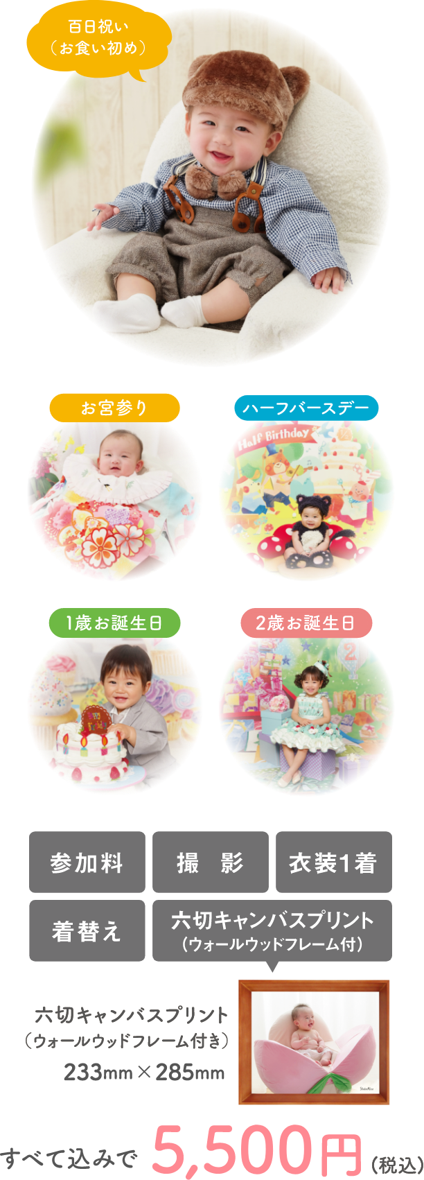 はじめてアリス体験パック