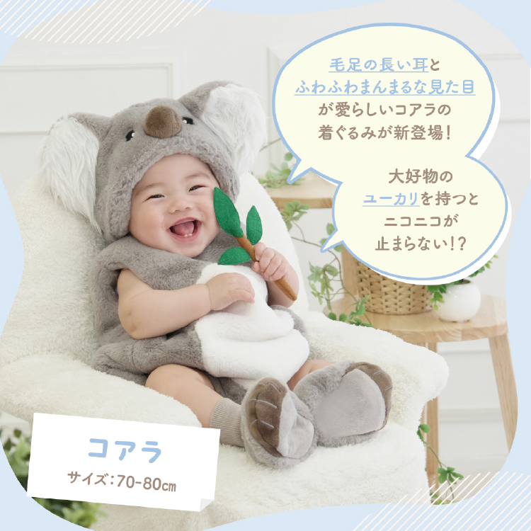 コアラ サイズ:70～80cm