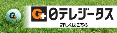 日テレジータス