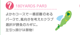 7.180YARDS PAR3
よかわコースで一番距離のあるパー3で、風向きを考えたクラブ選択が勝負のカギに。左引っ掛けは禁物！