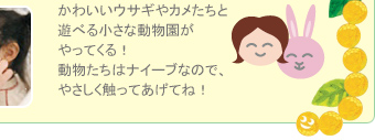 かわいいウサギやカメたちと遊べる小さな動物園がやってくる！動物たちはナイーブなので、やさしく触ってあげてね！