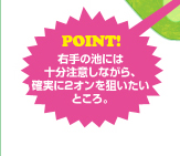 右手の池には十分注意しながら、確実に2オンを狙いたいところ。