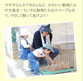 ウサギさんやブタさんなど、かわいい動物たちが大集合！ちいさな動物たちはナイーブなので、やさしく触ってあげよう！
