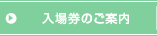 入場券のご案内