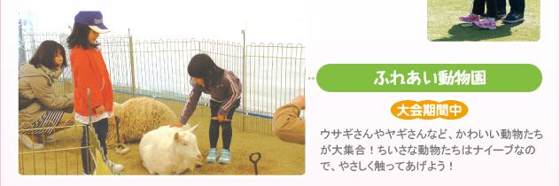 ふれあい動物園