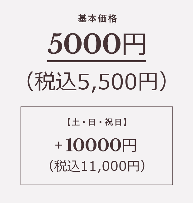 基本価格 5000円（税込5,500円）【土・日・祝日】+10,000円（税込11,000円）