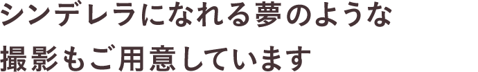 シンデレラになれる夢のような撮影もご用意しています