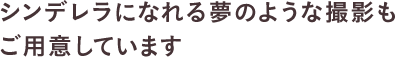 シンデレラになれる夢のような撮影もご用意しています