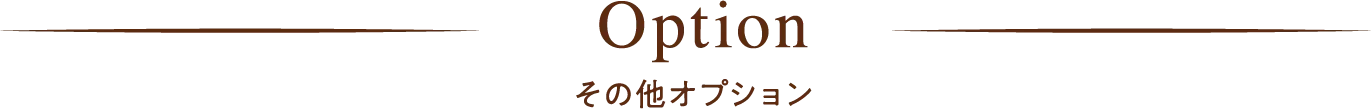 Option その他オプション