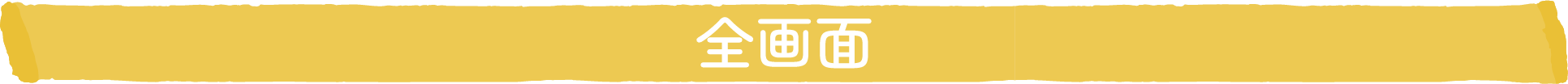 全画面