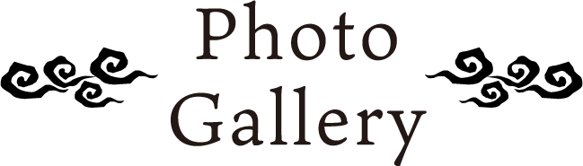 Photo Gallery