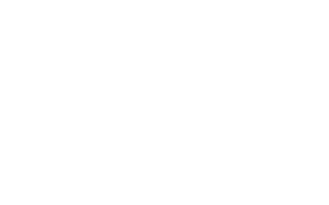 MICKY AND FRIENDS Fantasia