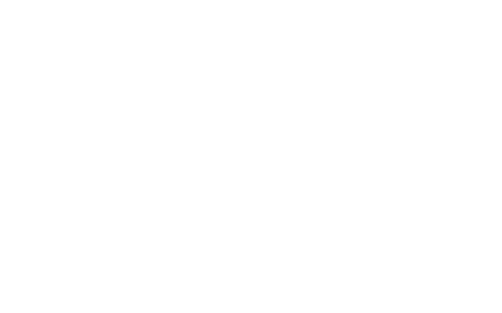 MICKY AND FRIENDS Donald Duck