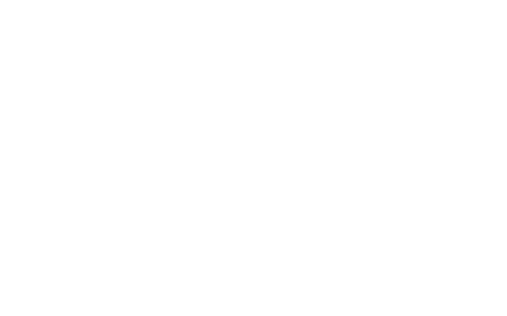 MICKY AND FRIENDS Minnie & Figaro