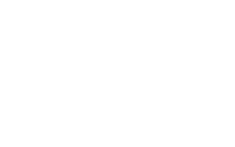 MICKY AND FRIENDS Chip 'n Dale