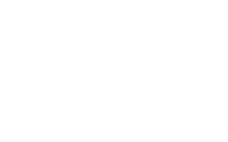 DISNEY PRINCESS Mulan