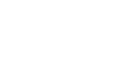 FROZEN Anna