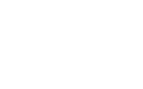 FROZEN Anna