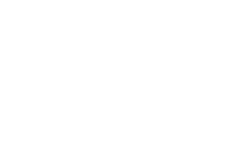 FROZEN Elsa