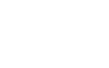 DISNEY ANIMATION Tinker Bell