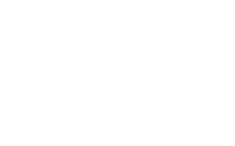 DISNEY ANIMATION Tinker Bell