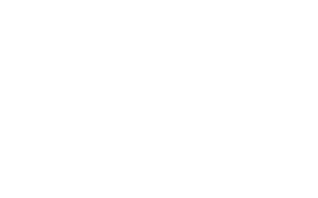 DISNEY CLASSICS Lady