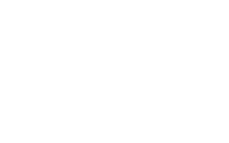 DISNEY ANIMATION Scar