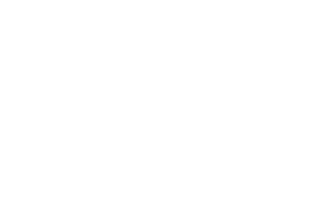 STAR WARS Padome Amidala