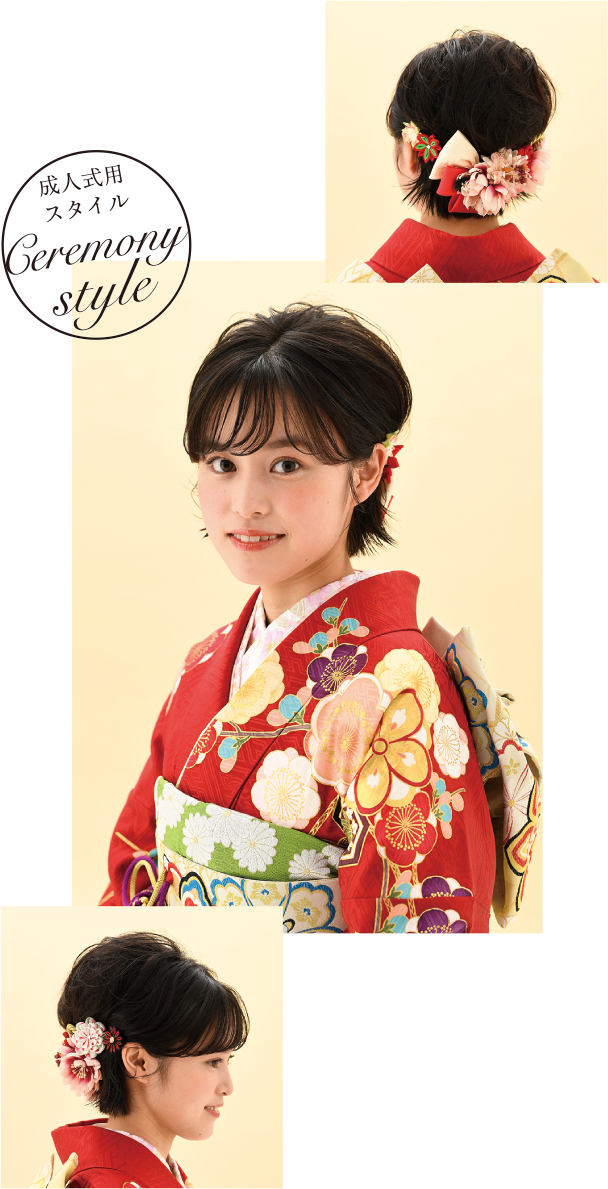 成人式用スタイル