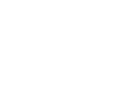 振袖選びアドバイス