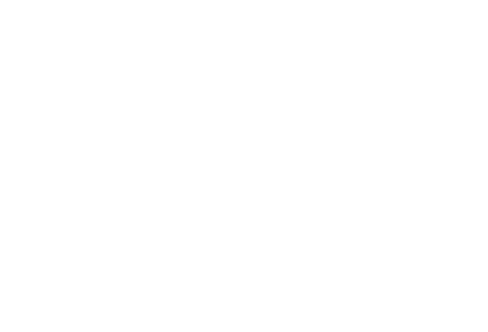 京友禅競技大会受賞柄振袖