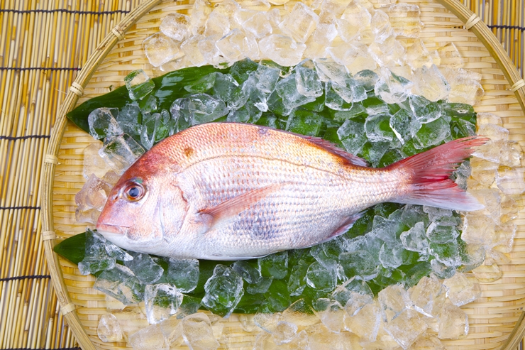 百日祝い（お食い初め）の魚｜選び方のポイント