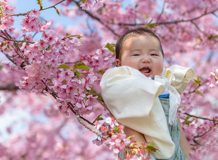 百日祝い（お食い初め）は「着物」が正装！赤ちゃんの衣装の選び方は？