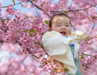 百日祝い（お食い初め）は「着物」が正装！赤ちゃんの衣装の選び方は？