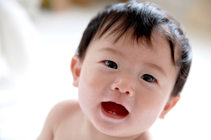 「歯固めの石」と「歯固め」の違いは?意味や選び方、使い方を解説