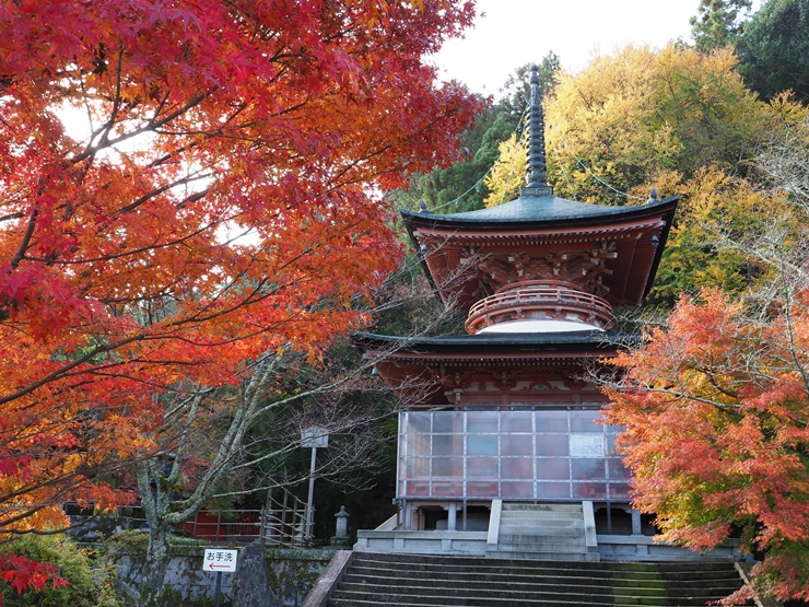 十三参りにおすすめのお寺や神社