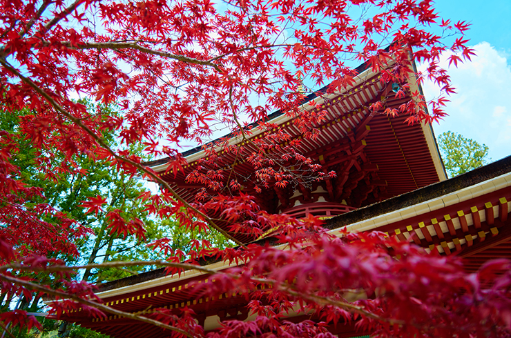 金剛峯寺