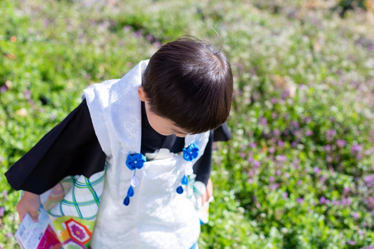 七五三 3歳女の子にぴったりな着物 こども写真館スタジオアリス 写真スタジオ フォトスタジオ