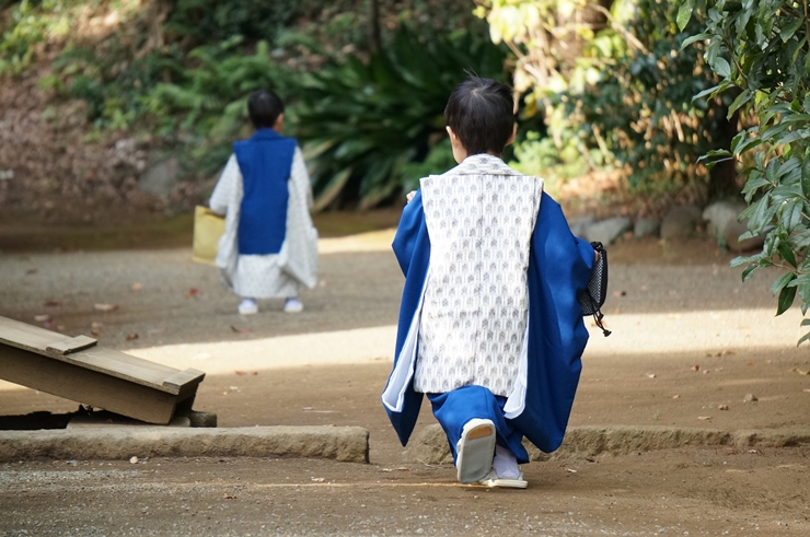 第一ネット 3歳 女の子 七五三 年中行事