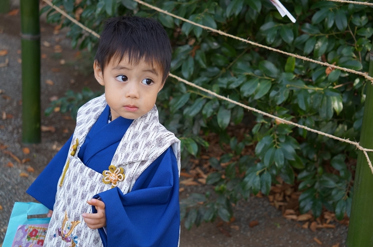 3歳男の子　七五三