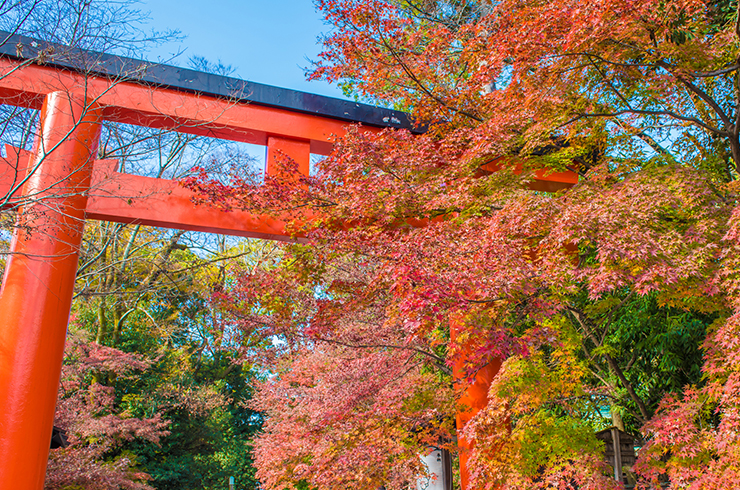 12月の七五三詣でおすすめの神社