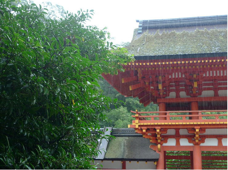 【七五三】雨の日に外で記念撮影をする際のポイント