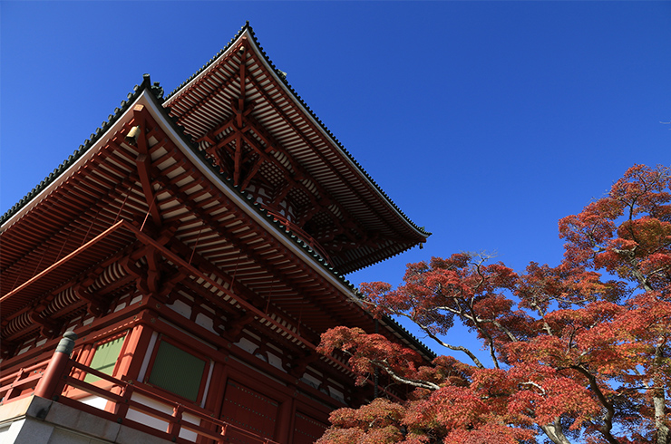 七五三のお参りはお寺でも神社でもOK