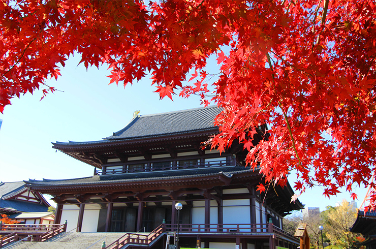 七五三におすすめのお寺・神社